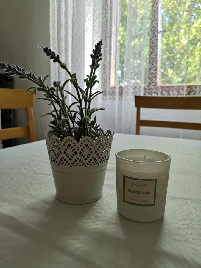 Rakalj Apartment Kalavojna מראה חיצוני תמונה